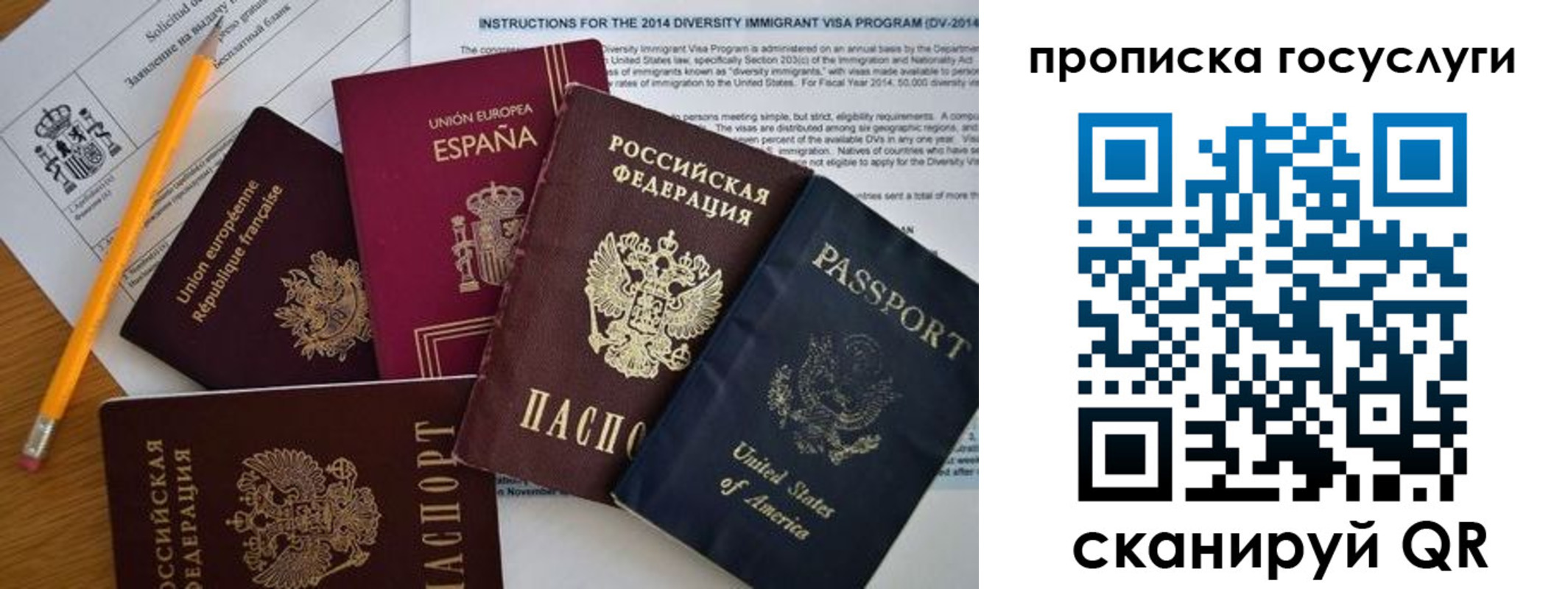прописка гарантия в Сельцо
